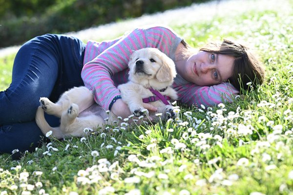 L'importance des vaccinations pour la santé du chien